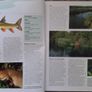 The Complete Guide to Fishing Image 6