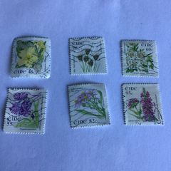 6 Irish stamps - Flora/ Fauna