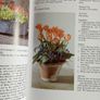 Growing plants in Containers - Gardening Handbook Image 5
