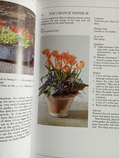 Growing plants in Containers - Gardening Handbook