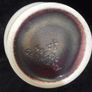Mid century vase, Dumler & Breiden, German vase Image 3