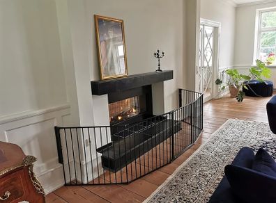 Baby gate / fire surround