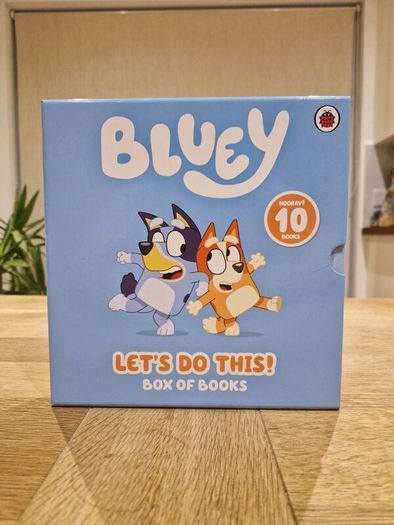Bluey box of books
