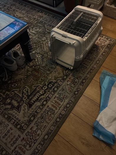 cat carrier