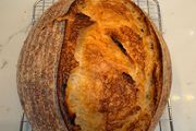 Sourdough starter