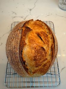Sourdough starter