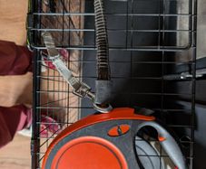 Broken, retractable dog lead for upcycle