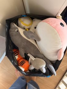 Free Toys