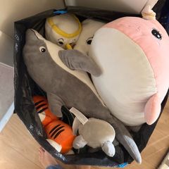 Free Toys