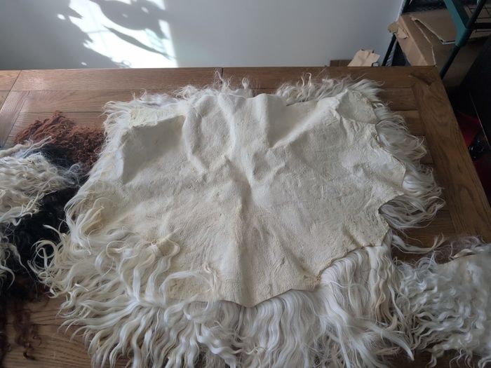 Doll hair Goat skin with long curls