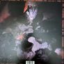 The Cure vinyl lp Image 2