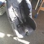 carseat Image 2