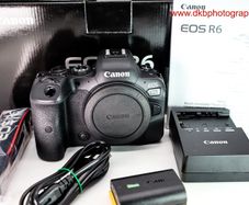 Canon Eos R6 Mirrorless Camera #0355