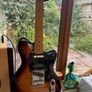 Ibanez Talman 1803 Image 10
