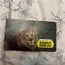Animals Of Dublin Zoo Knorr Soup Card Set Image 2