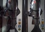 Savage Gear 4D Line Thru Trout 25cm