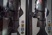 Savage Gear 4D Line Thru Trout 25cm