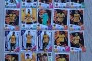Wolverhampton Wanderers Match Attax cards