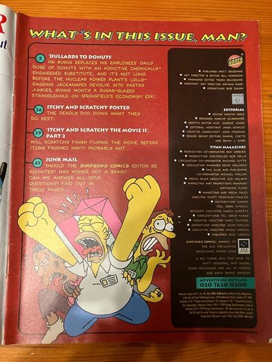 Comic: 'Simpsons Comics' no. 42 (July 2000)