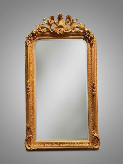 French Style Gilt Wood & Plaster Panel Mirror