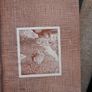 Wild Animals of the British Isles - Maurice Burton Image 4