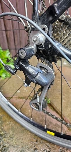 Trek Bike