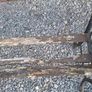 Old Garden Benches Image 4