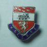 RAILWAY COMPANY (logos & crests) - 9 x quality enamel badges (1970s to early 1990s). Lot C Image 7