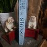Vintage Cast Iron Bulldog Bookends Image 3