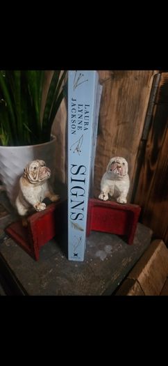 Vintage Cast Iron Bulldog Bookends