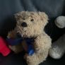 soft toys elephant teddy bear among us Image 4