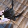 wedding guest hair clip Image 3