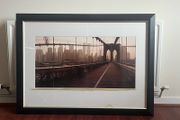 picture frames