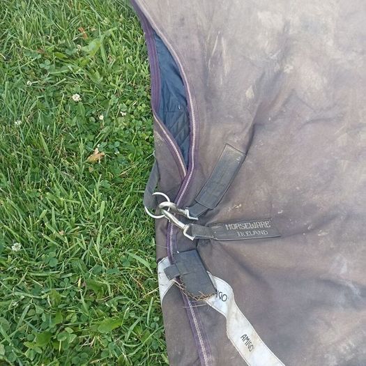 horseware 6"3 amigo 250g