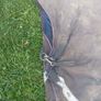 horseware 6"3 amigo 250g Image 3