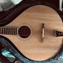 Bouzouki with hard case Image 5