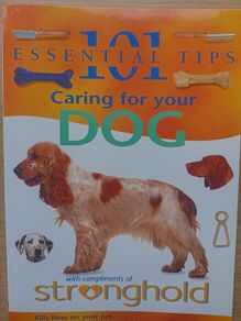 Caring For Your Dog