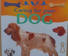 Caring For Your Dog
