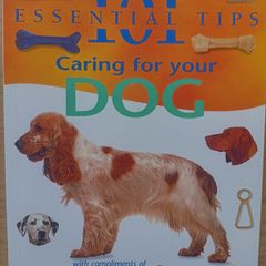 Caring For Your Dog