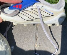 adidas predator