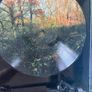 Earth - Hibernaculum (Limited Picture Disc) Image 3