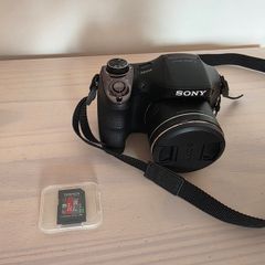 Sony Dsc-h300