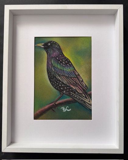 Original Pastel Paintings of Irish Garden Birds