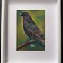 Original Pastel Paintings of Irish Garden Birds Image 3