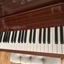 Steinhoven Piano Image 6
