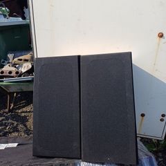 Big Sony Speaker