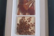 Unique artwork from Ocean Petals art studio are handmade with real Australian native fliowers