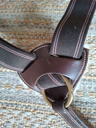 Breastplate 5 point.Shires