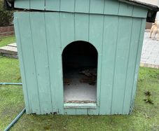 Dog Kennel