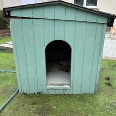 Dog Kennel